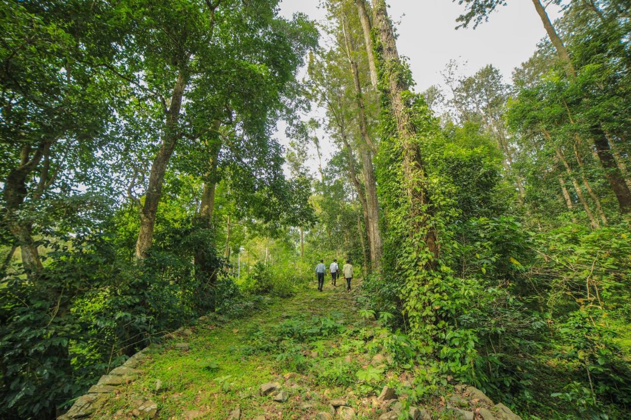 Wow Bison Woods Organic Veg Resort - Yercaud Exterior photo