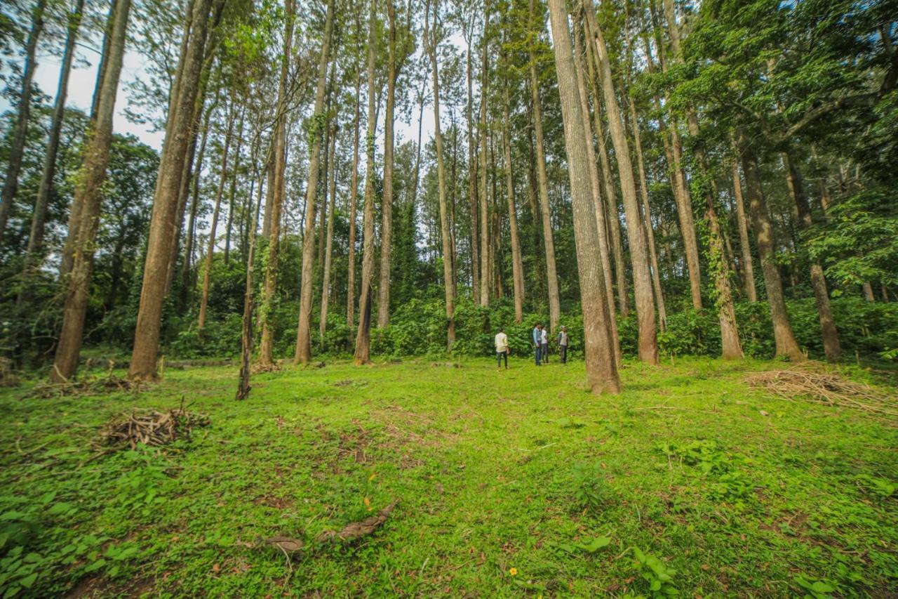 Wow Bison Woods Organic Veg Resort - Yercaud Exterior photo